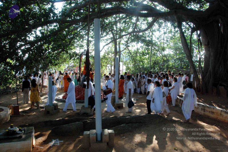 File:20091202DSC 4170 CMP WM001.jpg