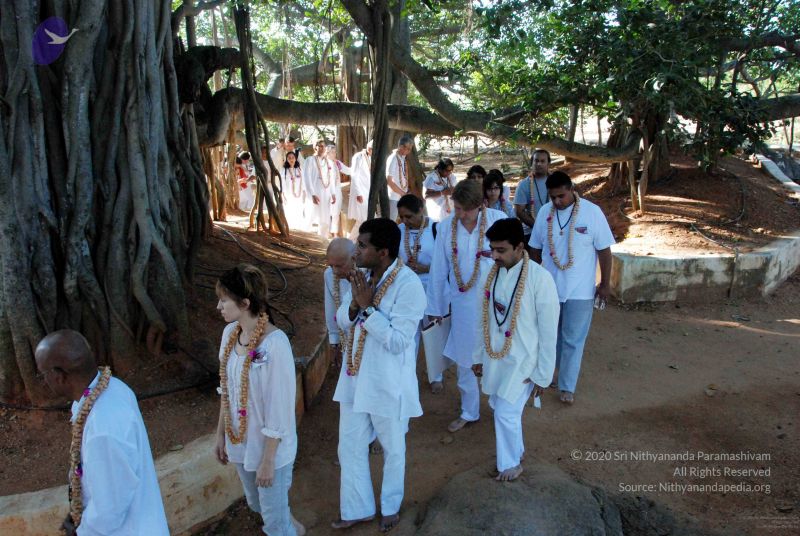 File:20091202DSC 4174 CMP WM001.jpg