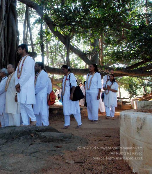 File:20091202DSC 4176 CMP WM001.jpg