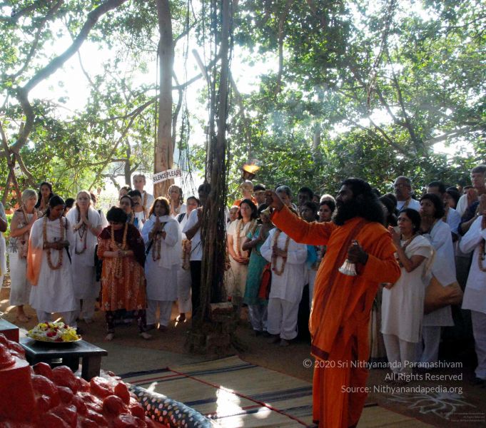 File:20091202DSC 4179 CMP WM001.jpg