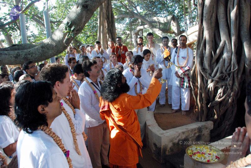 File:20091202DSC 4186 CMP WM001.jpg