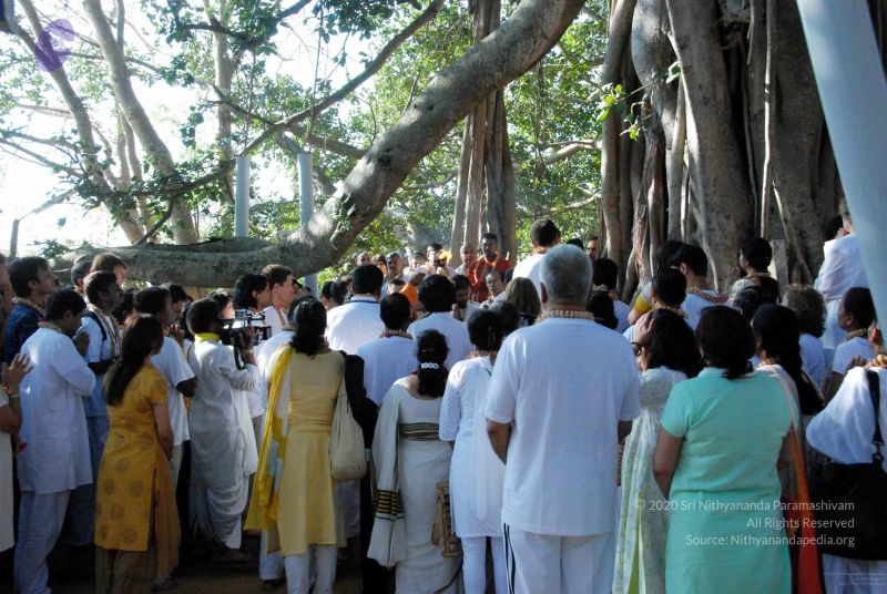 File:20091202DSC 4190 CMP WM001.jpg