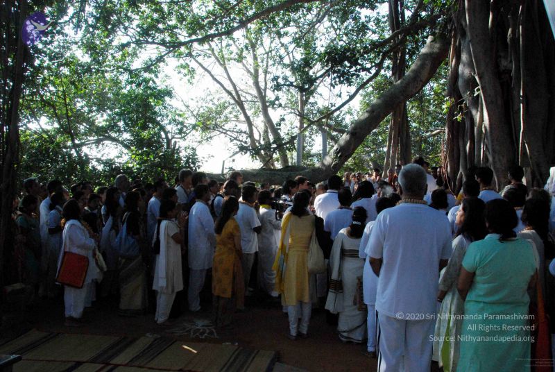 File:20091202DSC 4191 CMP WM001.jpg