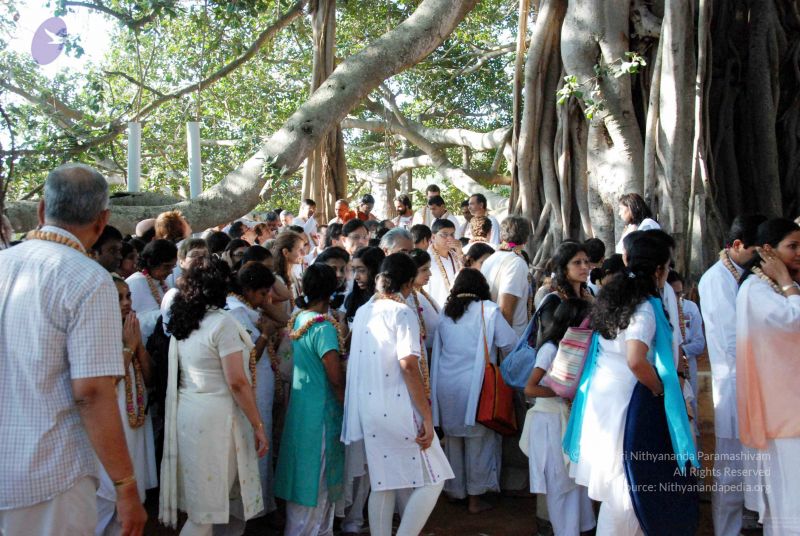 File:20091202DSC 4192 CMP WM001.jpg