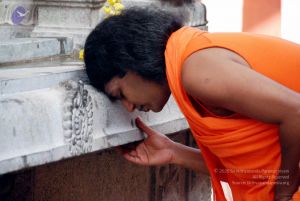 20091202DSC 4225 CMP WM001.jpg