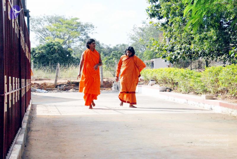 File:20091202DSC 4231 CMP WM001.jpg