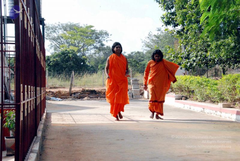 File:20091202DSC 4232 CMP WM001.jpg