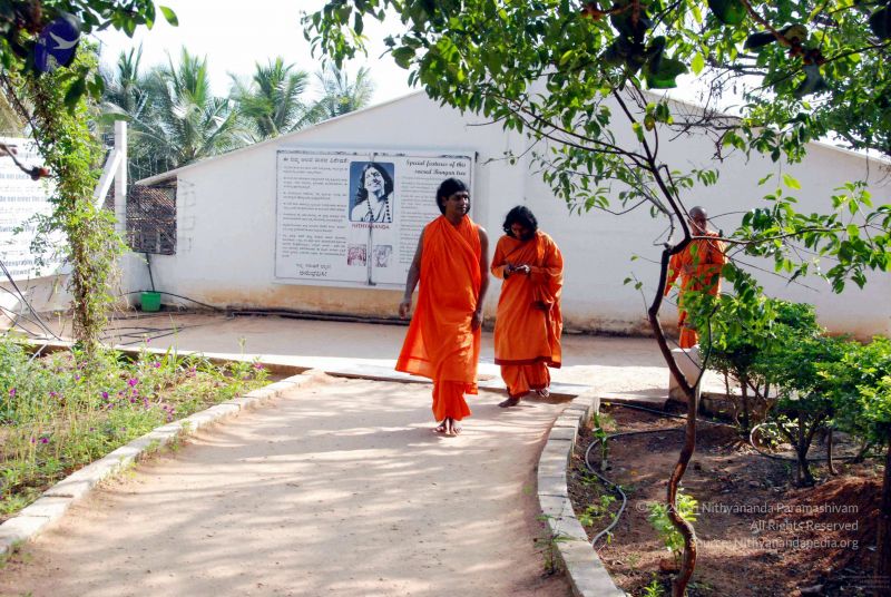 File:20091202DSC 4235 CMP WM001.jpg