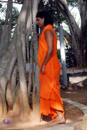 20091202DSC 4239 CMP WM001.jpg