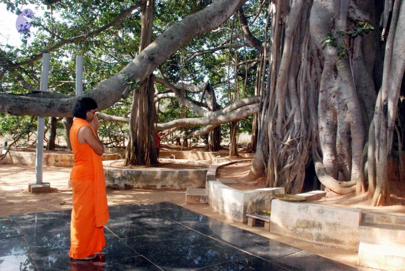 File:20091202DSC 4242 CMP WM001.jpg