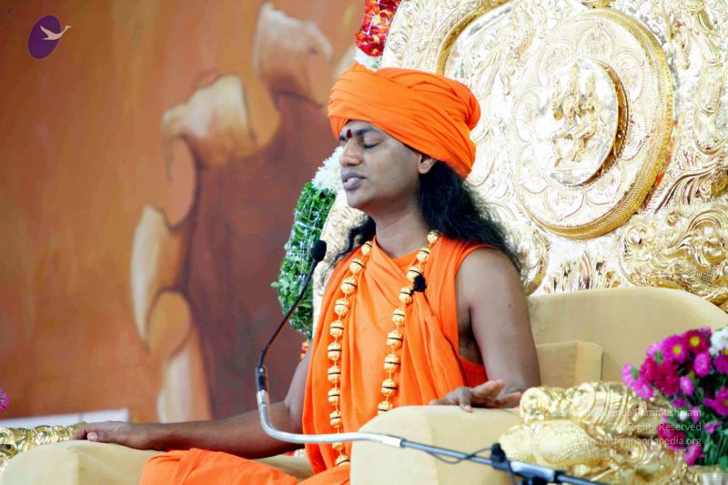 File:20091202IMG 0151 CMP WM001.jpg