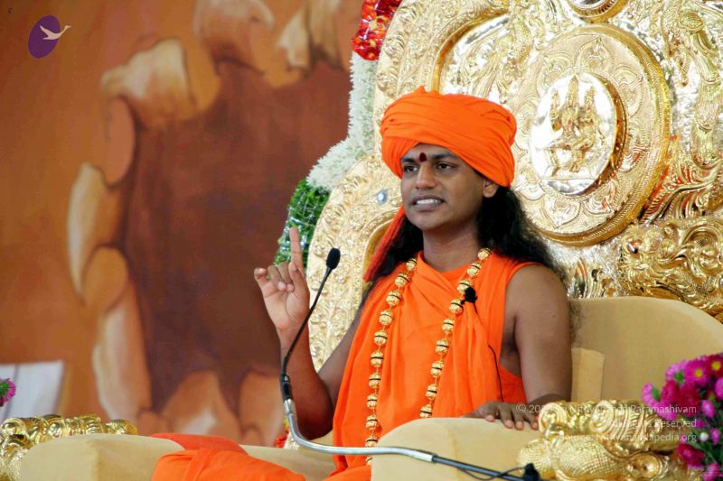 File:20091202IMG 0174 CMP WM001.jpg