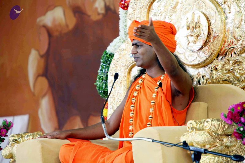 File:20091202IMG 0202 CMP WM001.jpg