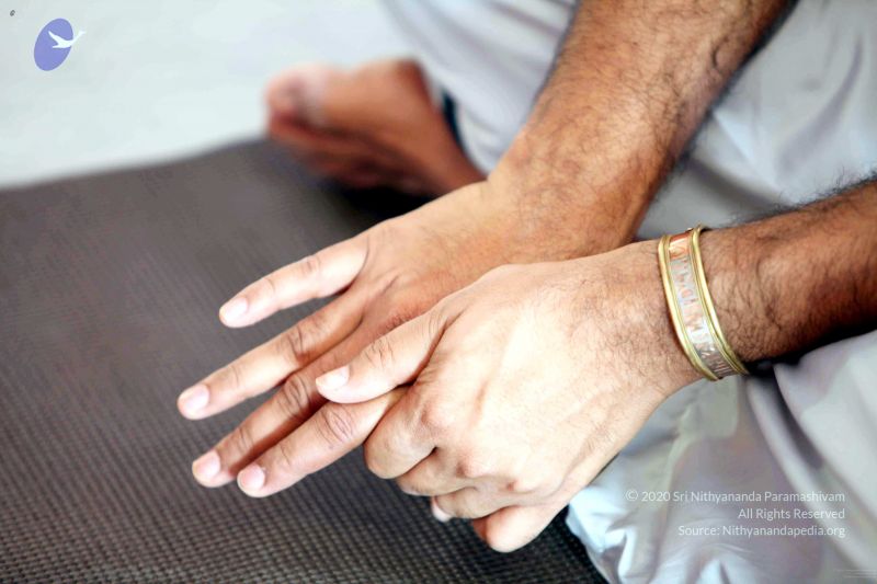 File:20091202IMG 0283 CMP WM001.jpg