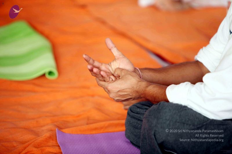 File:20091202IMG 0285 CMP WM001.jpg