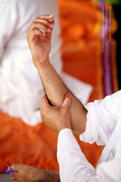 File:20091202IMG 0291 CMP WM001.jpg