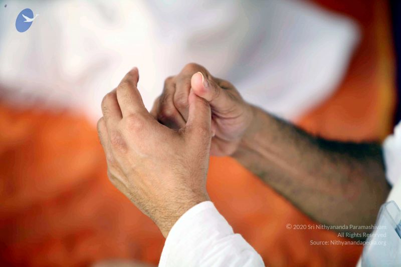 File:20091202IMG 0292 CMP WM001.jpg