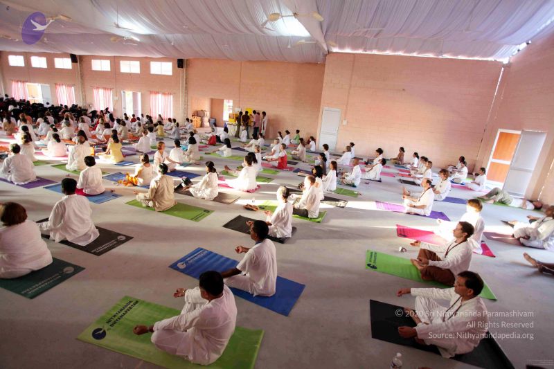 File:20091202IMG 0301 CMP WM001.jpg