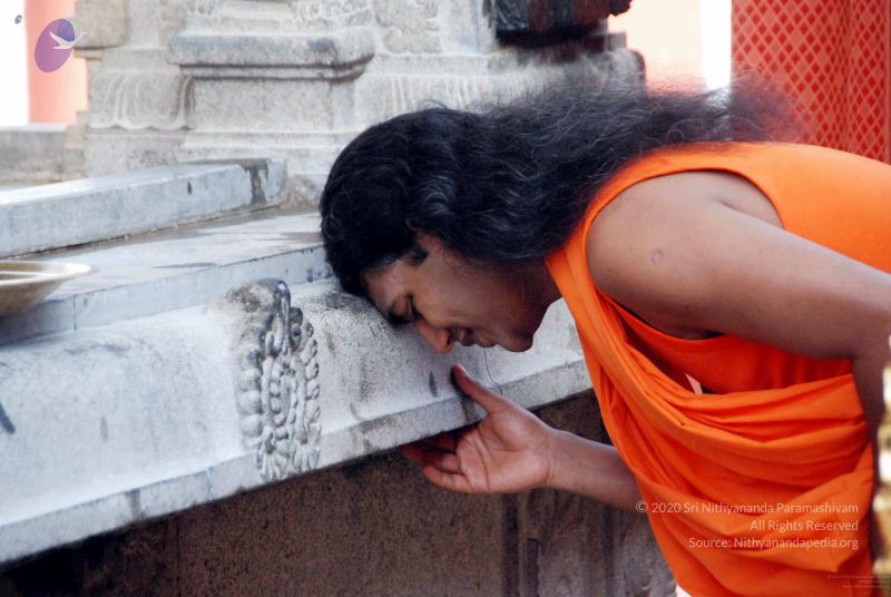 File:20091203DSC 4429 CMP WM001.jpg