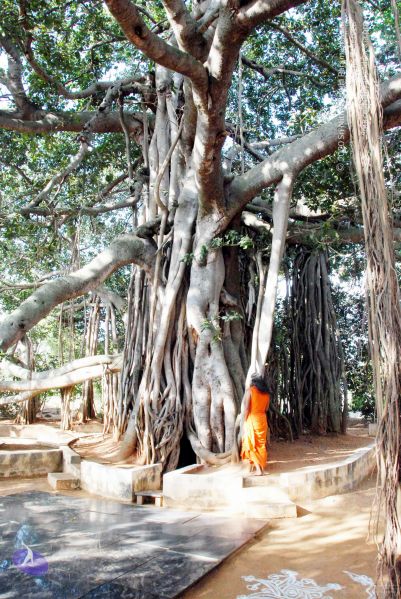 File:20091203DSC 4439 CMP WM001.jpg