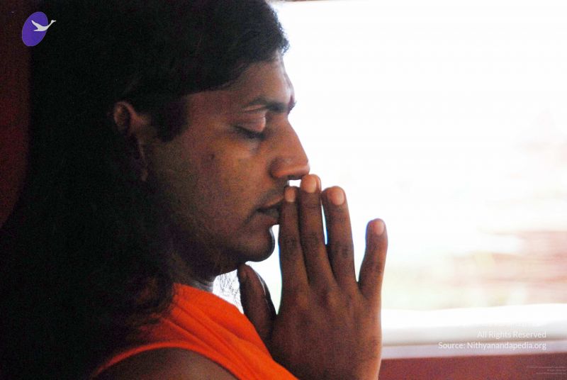 File:20091203DSC 4577 CMP WM001.jpg