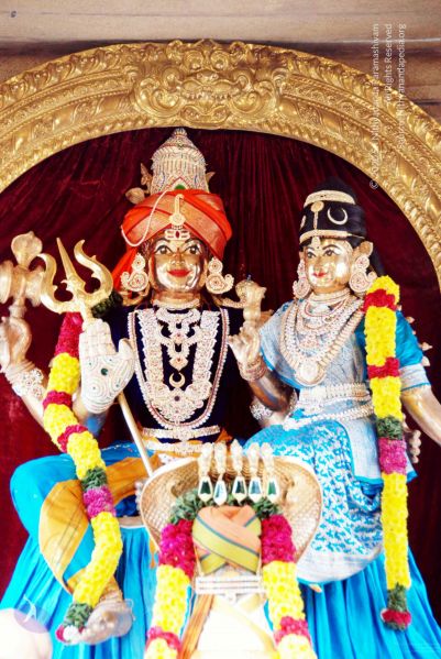 File:20091205DSC 4789 CMP WM001.jpg