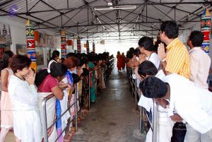 20091205DSC 4802 CMP WM001.jpg