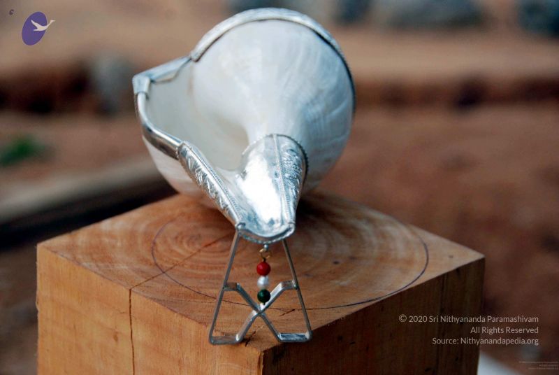 File:20091206DSC 5230 CMP WM001.jpg