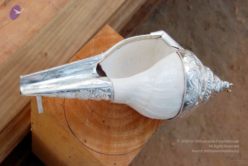 File:20091206DSC 5231 CMP WM001.jpg