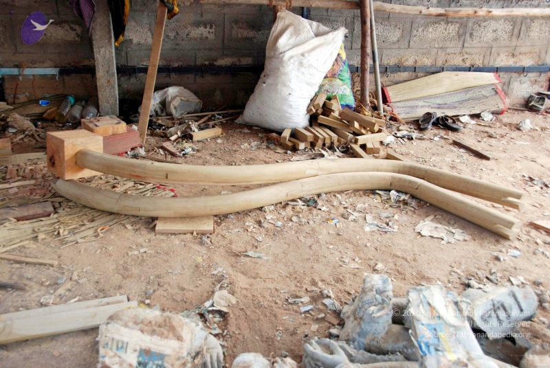 File:20091206DSC 5234 CMP WM001.jpg