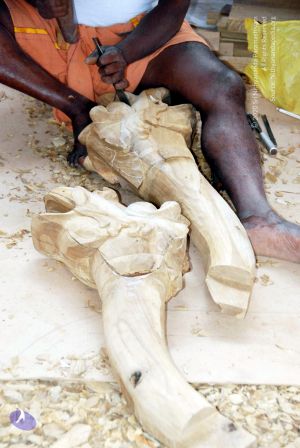 20091206DSC 5236 CMP WM001.jpg