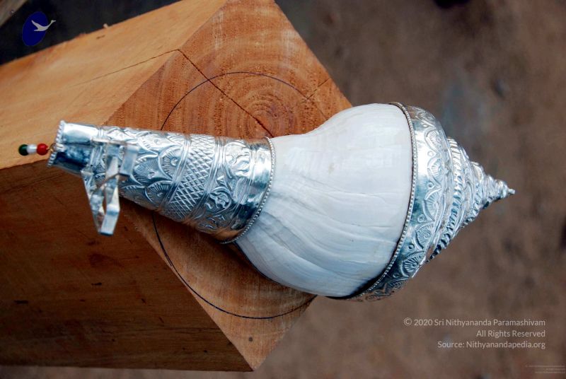 File:20091206DSC 5237 CMP WM001.jpg