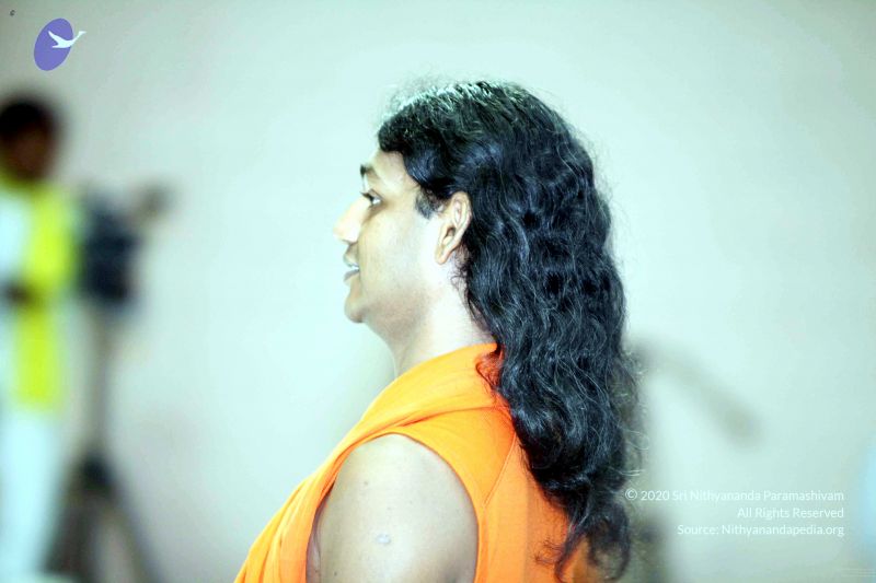 File:20091206IMG 0606 CMP WM001.jpg