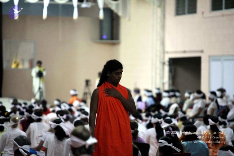 File:20091206IMG 0610 CMP WM001.jpg