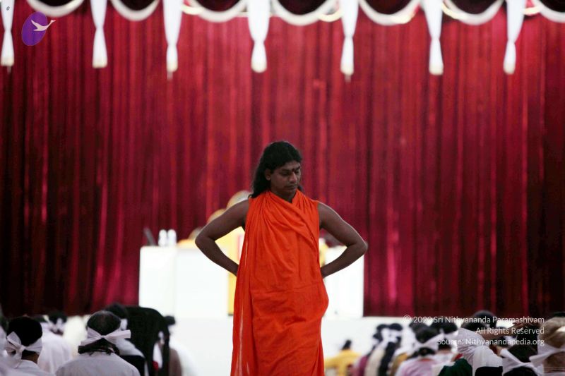 File:20091206IMG 0621 CMP WM001.jpg