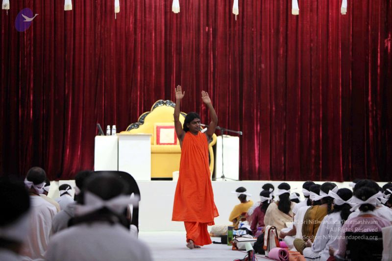 File:20091206IMG 0637 CMP WM001.jpg