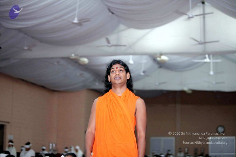 File:20091206IMG 0652 CMP WM001.jpg