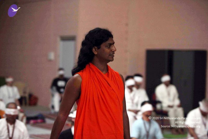 File:20091206IMG 0669 CMP WM001.jpg