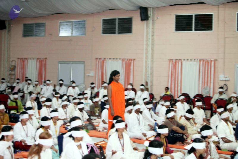 File:20091206IMG 0687 CMP WM001.jpg