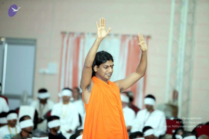 File:20091206IMG 0691 CMP WM001.jpg