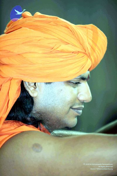 File:20091207IMG 1138 CMP WM001.jpg