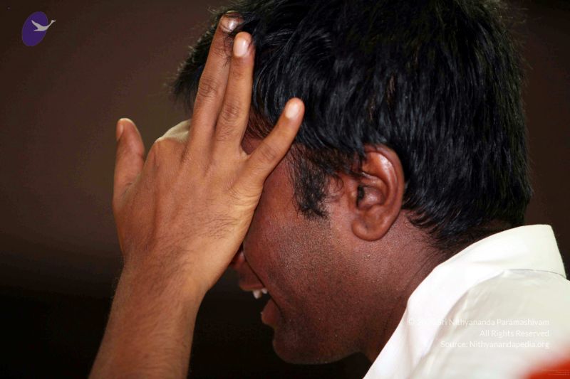 File:20091208IMG 1277 CMP WM001.jpg