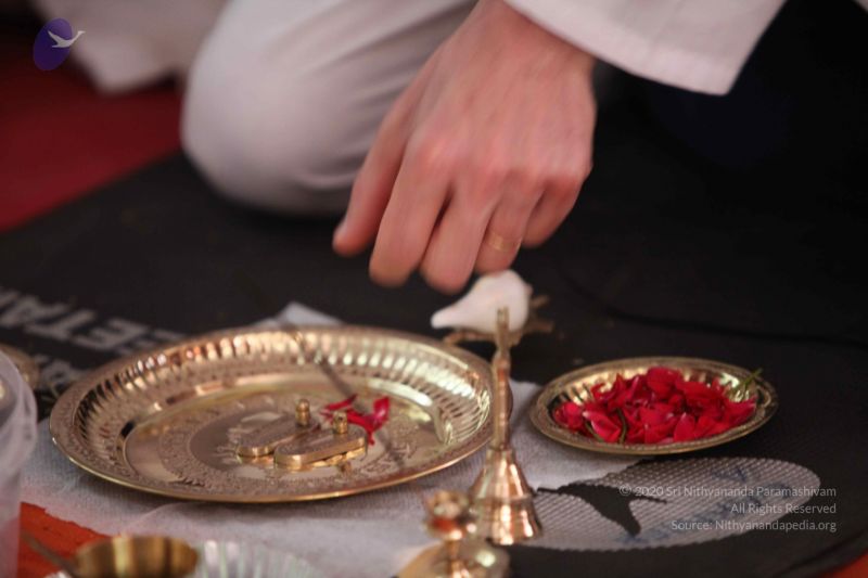 File:20091210 IMG 1504 CMP WM-2201.jpg