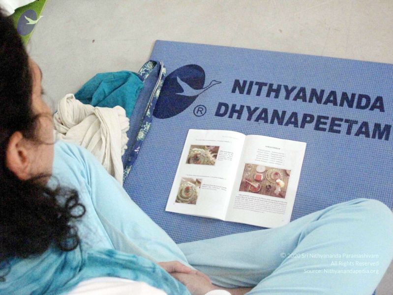 File:20091212 IMG 2118 CMP WM01.jpg