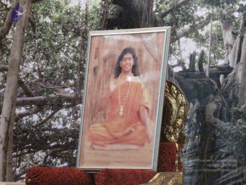 File:20091212 Photo 1028 146A-Gmt3dTHa 6XqU5x53OZzK6BM5jkI.JPG