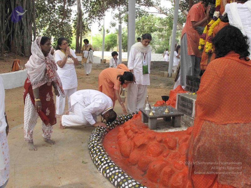 File:20091212 Photo 1122 1MPYTibawGoEUe-nmcJzy0Ao9MrJu Vij.JPG