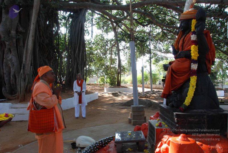 File:20091212 Photo 1170 1kXo1CKwGBV5TCM5yB8zubnqWvDAMcyrM.JPG