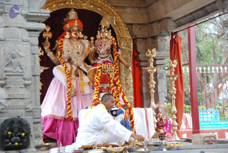 File:20091213 DSC 7110 CMP WM-0101.jpg