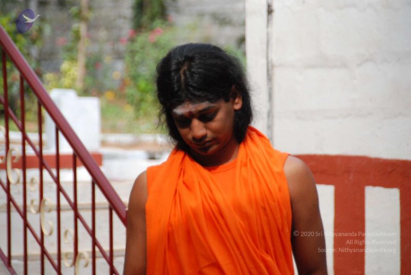 File:20091213 DSC 7144 CMP WM-1501.jpg