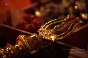 20091213 IMG 1815 CMP WM-47001.jpg